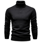 Turtleneck Washable Sweater