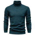 Turtleneck Washable Sweater