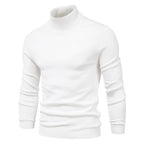 Turtleneck Washable Sweater